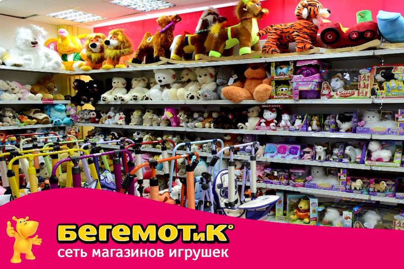 Сеть «Бегемот»