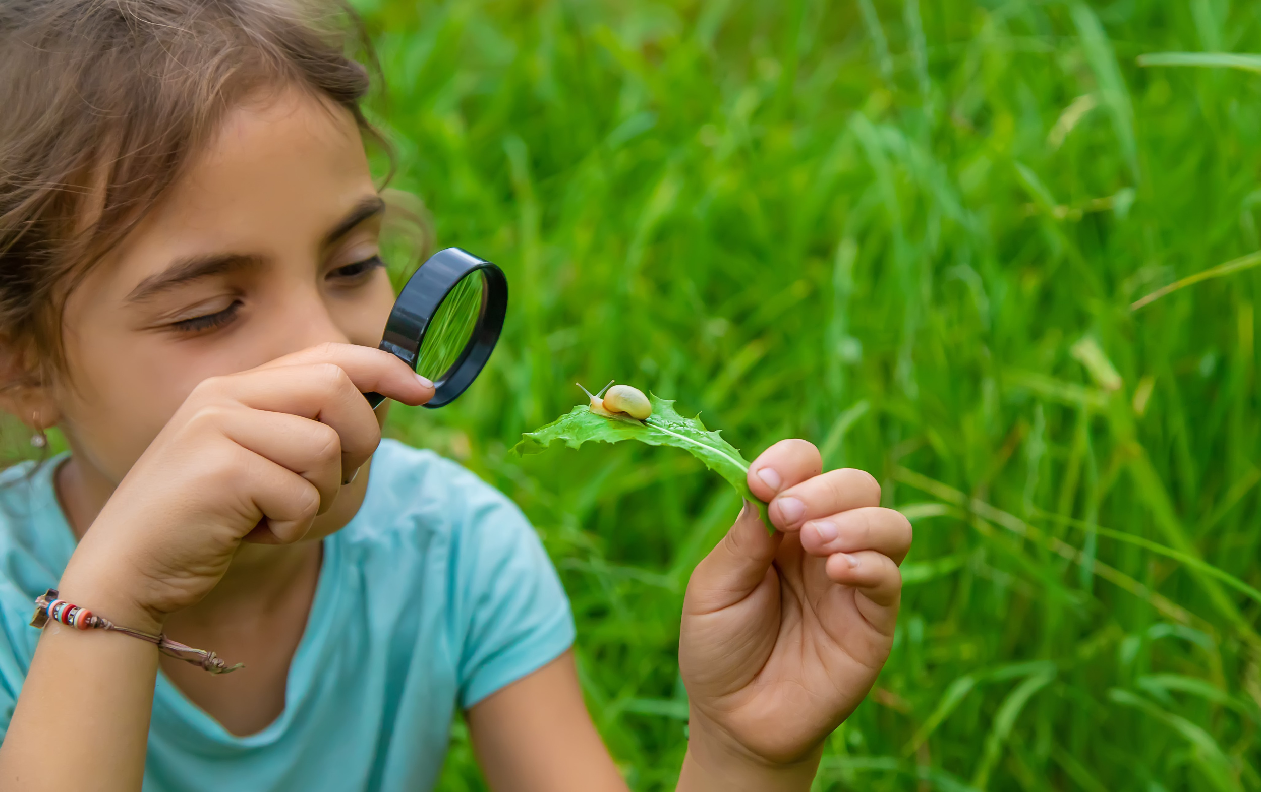 2 child-looks-snail-through-magnifying-glass-selective-focus-nature.jpg