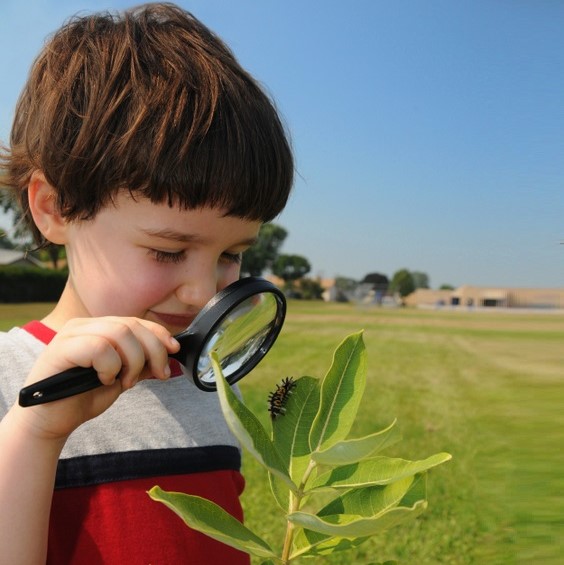 web_boy_looking_at_plant.jpg